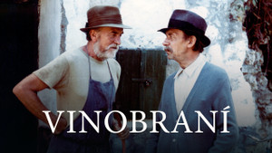 Obrázek pořadu Vinobraní
