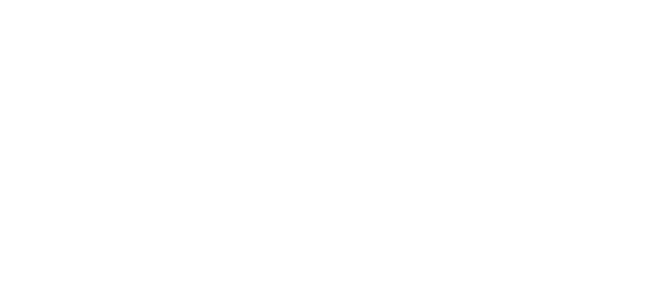 Inspektor Fousek na stopě